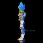 Figura Vegeta 5