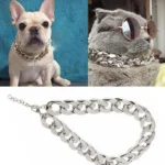 Collar para cachorros Bully 2