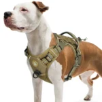 Arnés refletante para perros 1