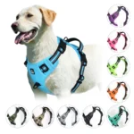 Arnés acolchado para perros 1
