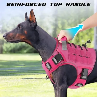Arnés ajustable para perros 4