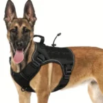 Arnés ajustable para perros 5