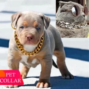 Collar para cachorros Bully 1