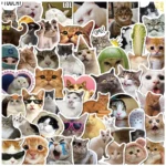 Pegatinas de gatos 1
