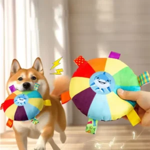 Disco de juguete para perro 1