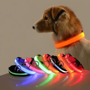 Collar para perro LED 1