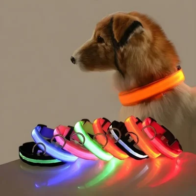 Collar para perro LED 1