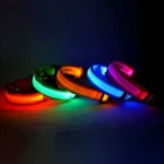 Collar para perro LED 3
