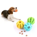 Pelota dispensadora de chuches para perros 4