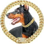 Collar dorado para perro 1