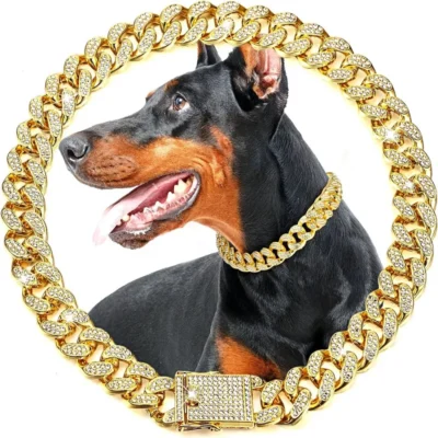 Collar dorado para perro 1