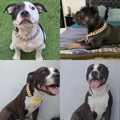 Collar para Perro Estilo Cadena 5