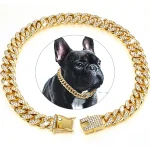 Collar para mascotas 1
