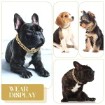 Collar para mascotas 3