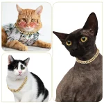 Collar para mascotas 2